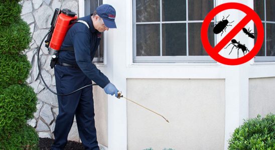 Doğanyol Hamam Böceği İlaçlama böcek ilaçlama ve haşere kontrolü — ilaclama-tr.com